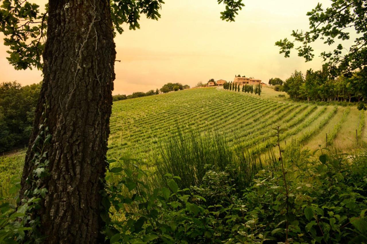 Casali Di Casole - Timbers Tuscany Casole d'Elsa Luaran gambar